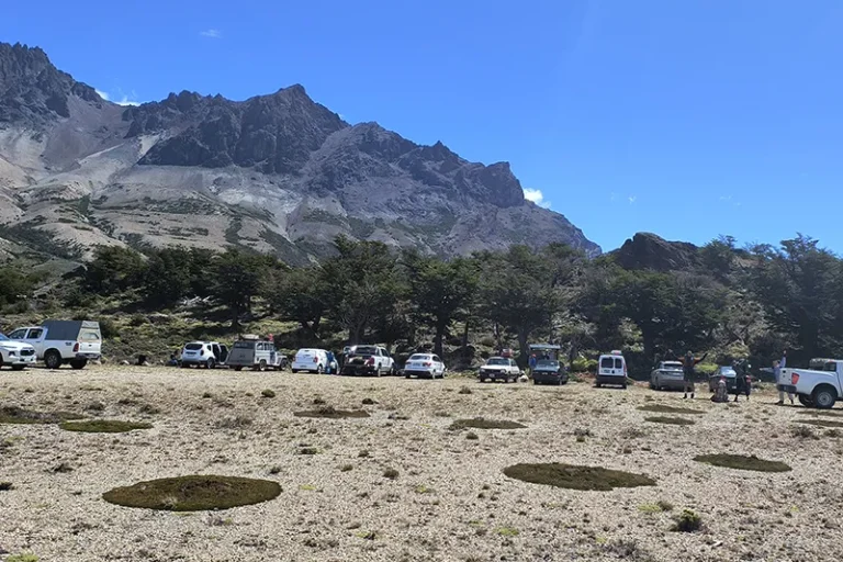 Estacionamiento Circuito Azara 2