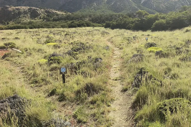 Area de Acampe anexa a Refugio Gilberto